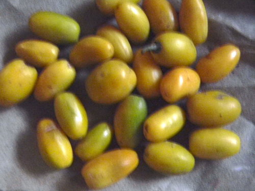 ranjan fruit.jpg