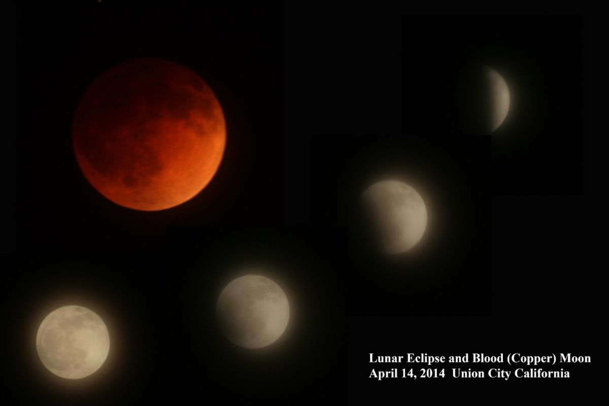 lunar eclipse 2014-2.jpg