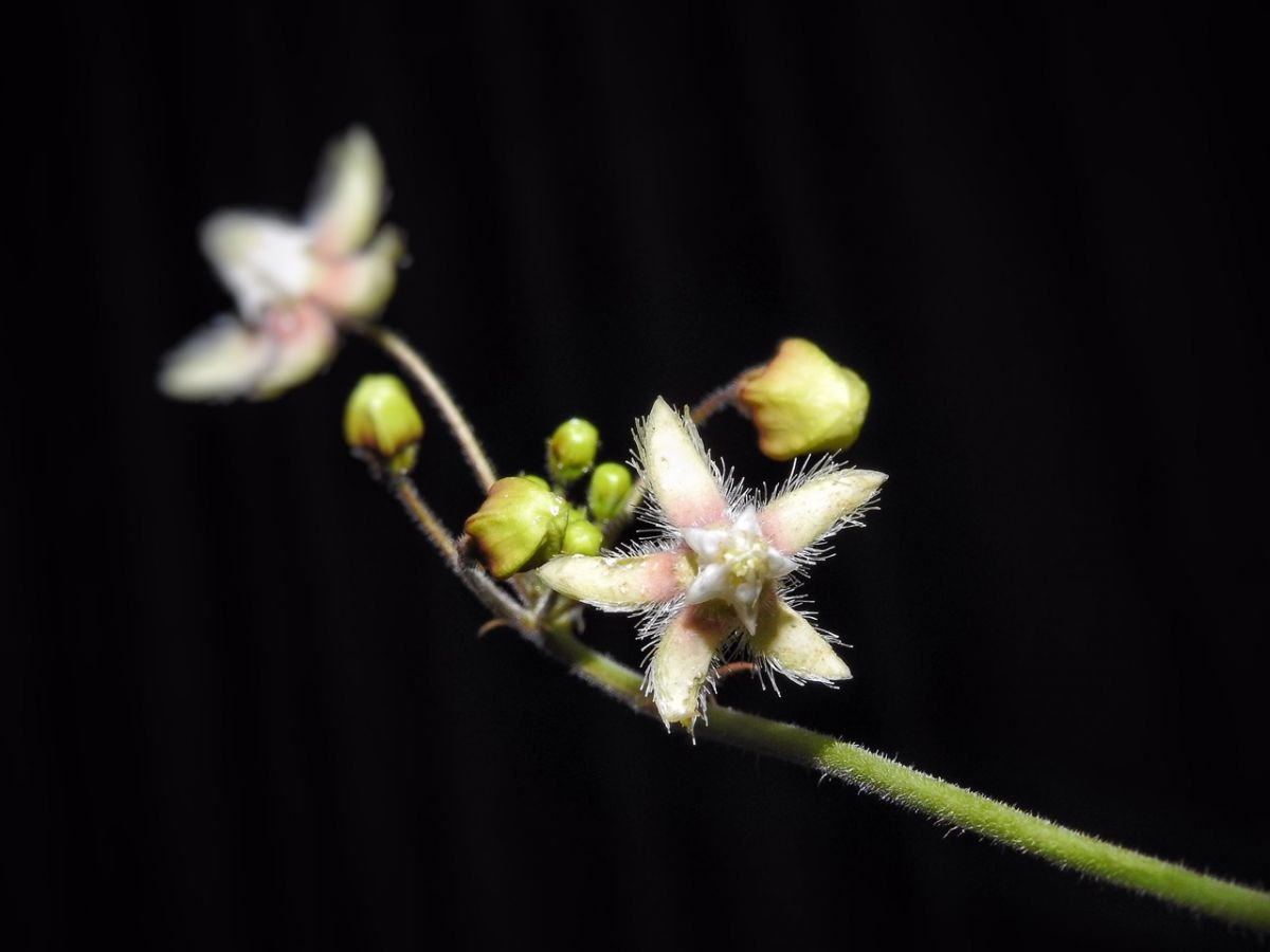 1D4771D1-4B18-41FA-9956-5A5F2553899A.jpeg