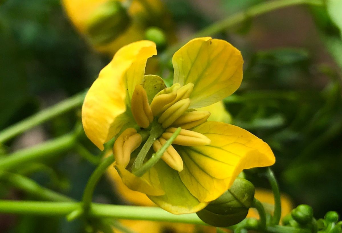 2019-07-06 19.22.42.jpg