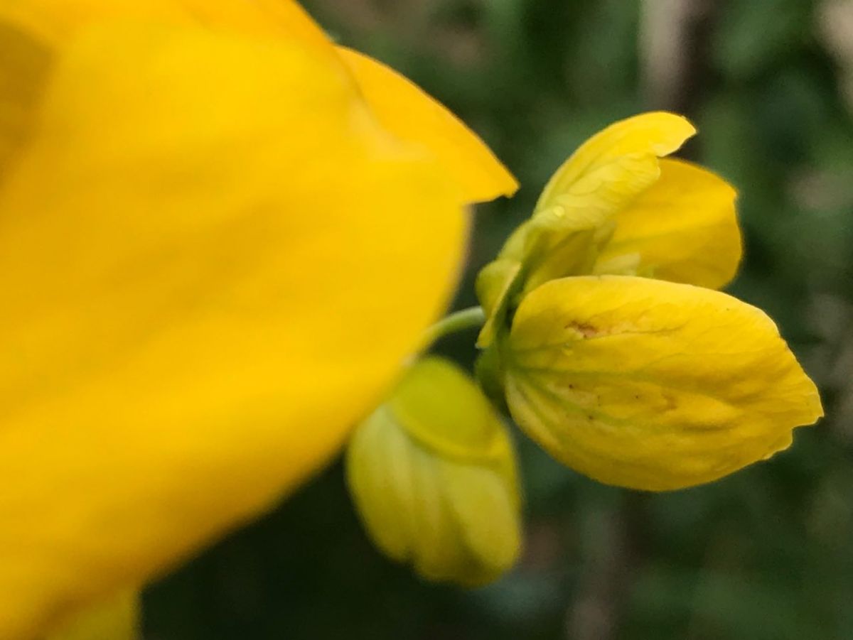 2019-07-06 19.25.29.jpg