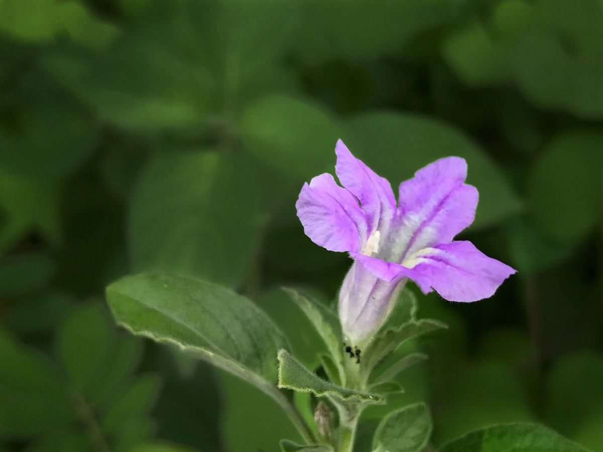 3F4812D4-83FD-4CBB-B650-91B5108A13D9.jpeg
