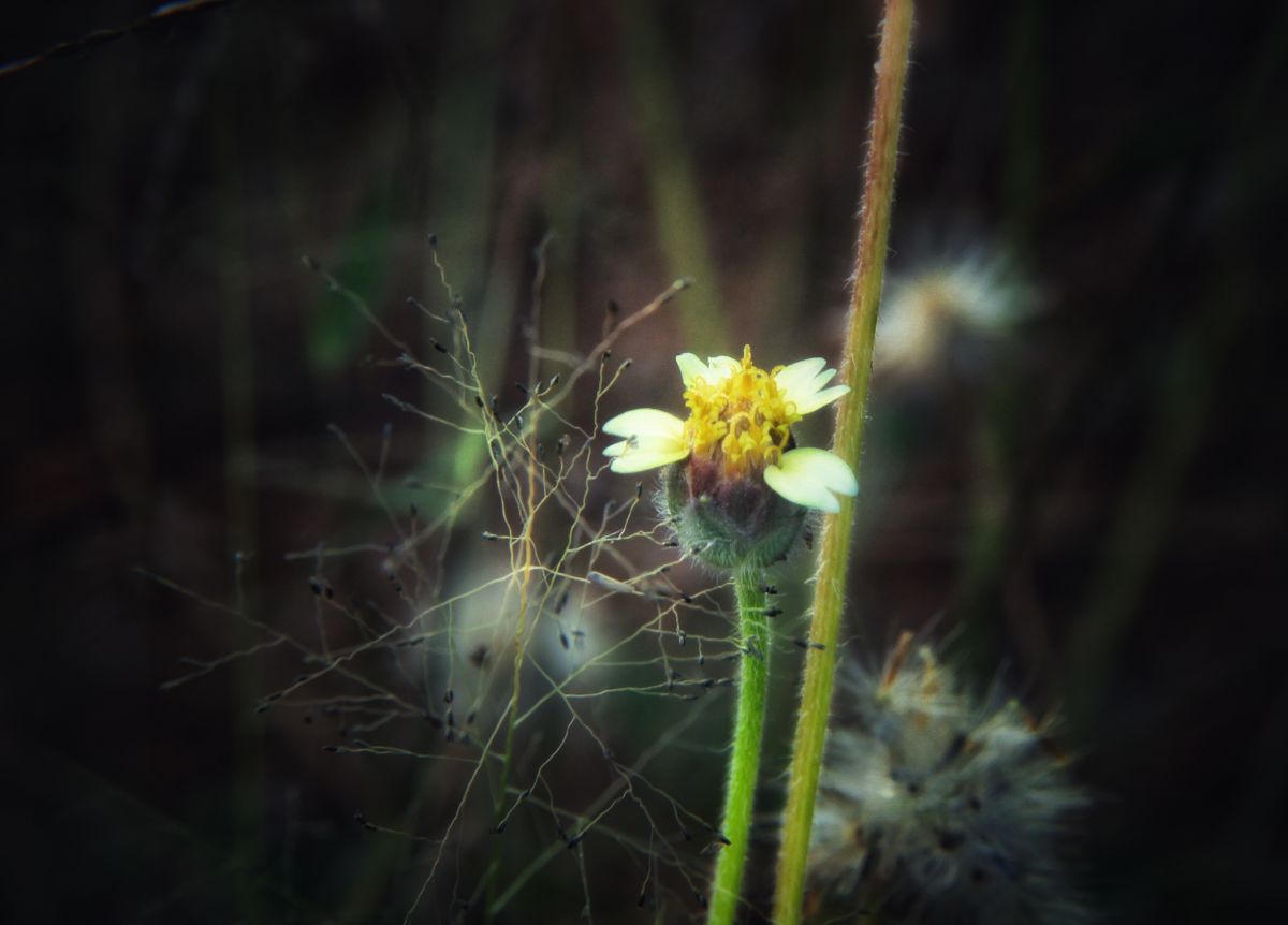 D89FF4C4-3911-4D91-B790-987109A6339B.jpeg