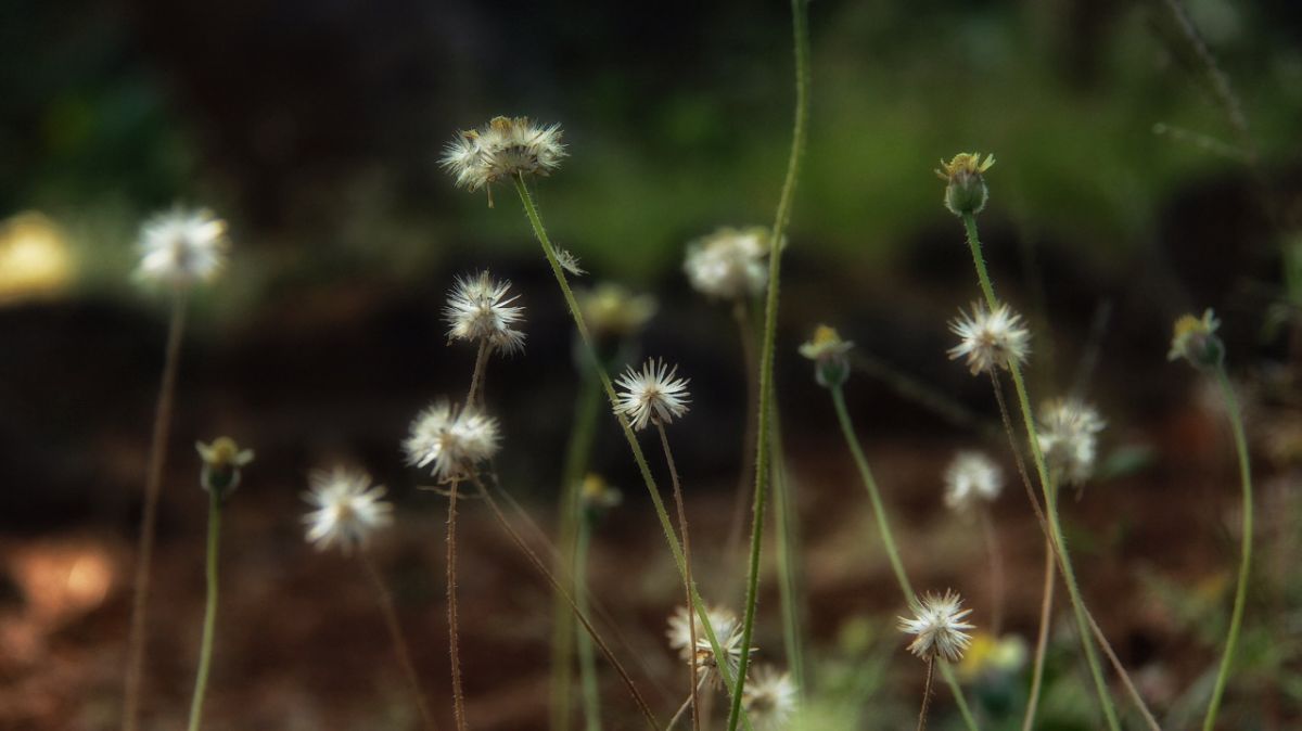 EF8F12A0-317D-425C-8242-09AB3448DF88.jpeg
