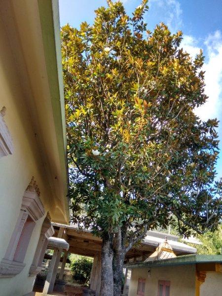IMG_20150320_164249616_HDR.jpg