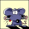 mouse25.gif