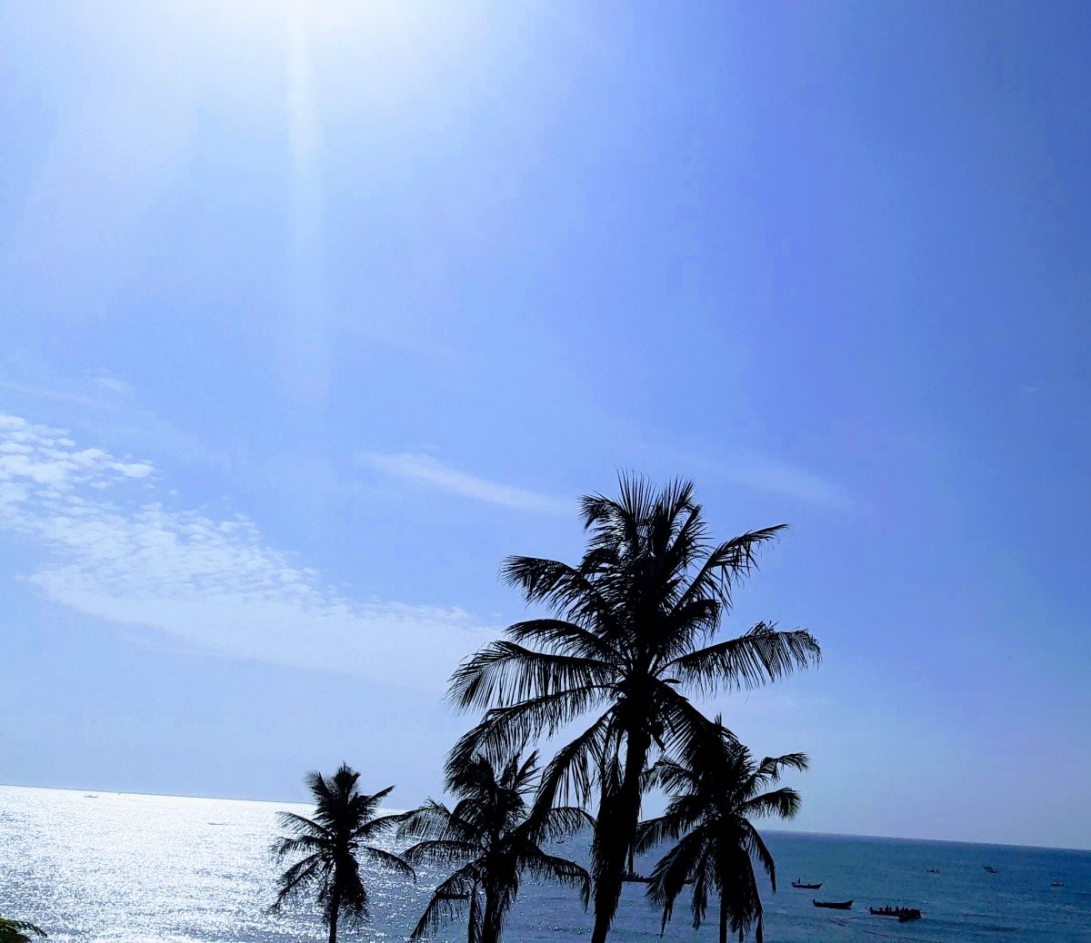 20180823_081452-EFFECTS~2.jpg