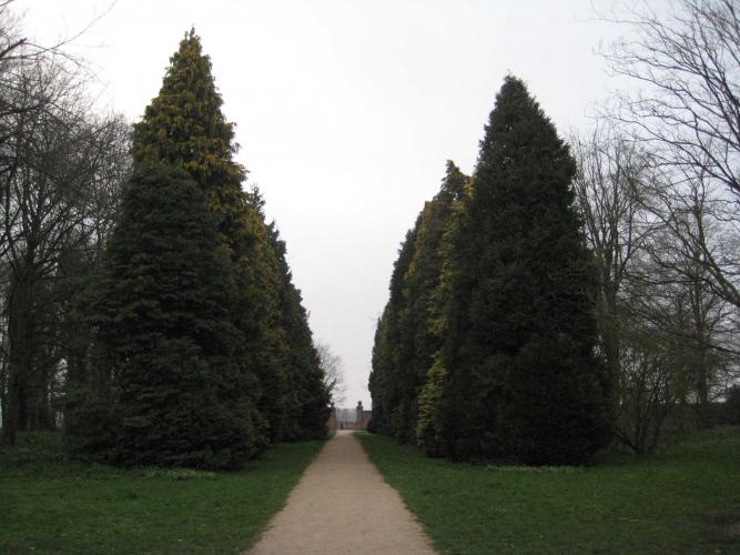 Picture_031.jpg