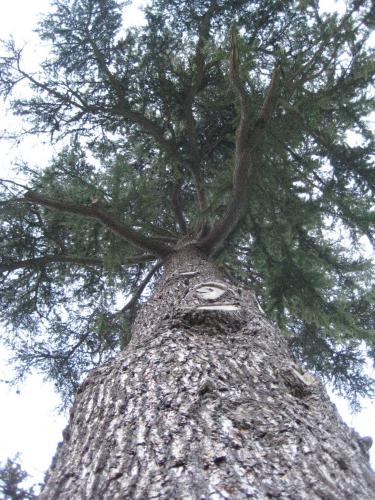 Picture_048.jpg