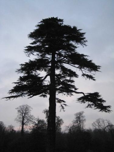 Picture_052.jpg