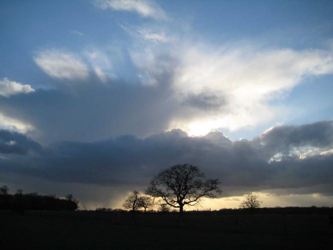 Picture_065.jpg