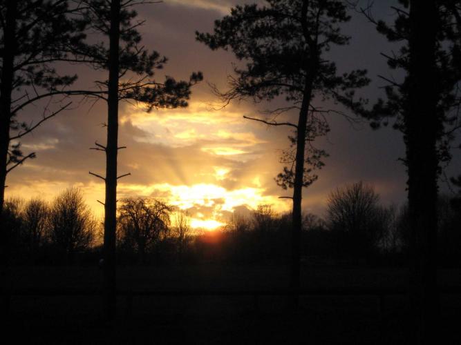Picture_102.jpg