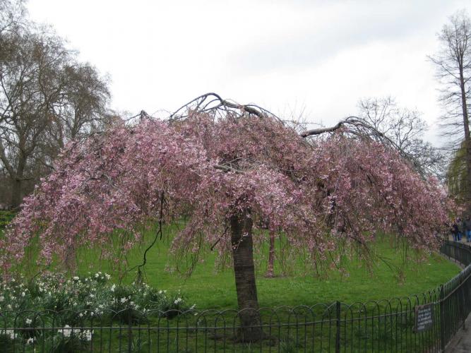 Picture_244.jpg