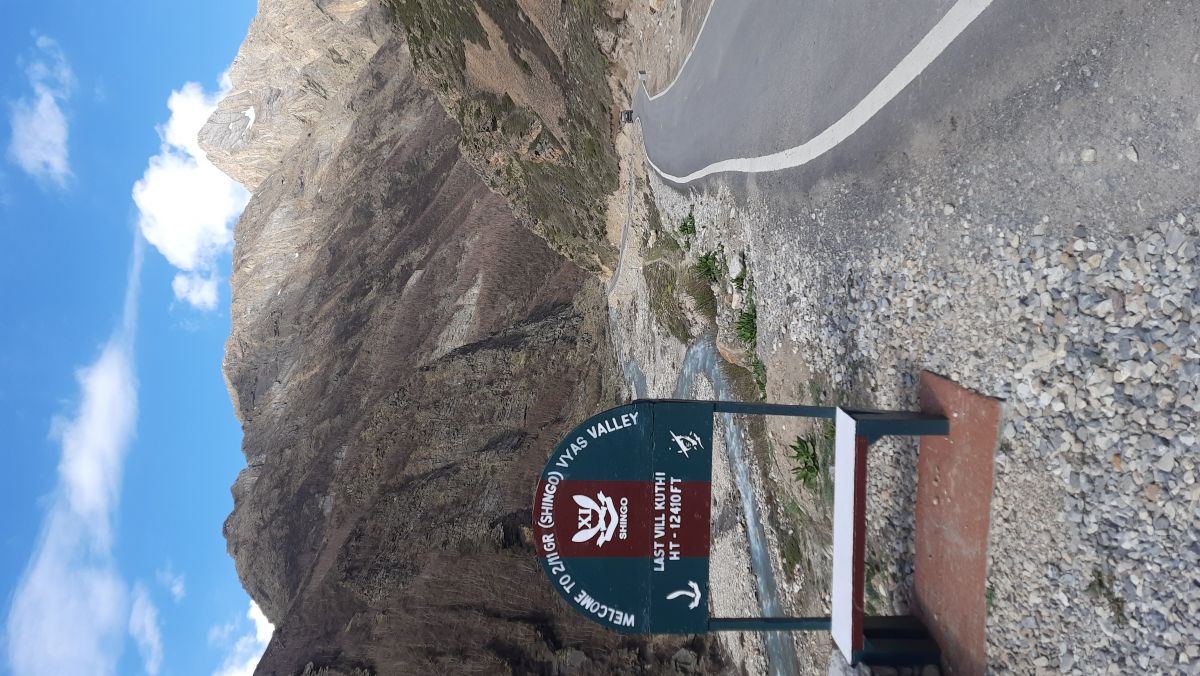 5_shevatche gav kutti.jpg