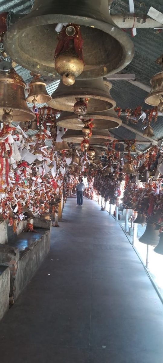 IMG-golu.jpg