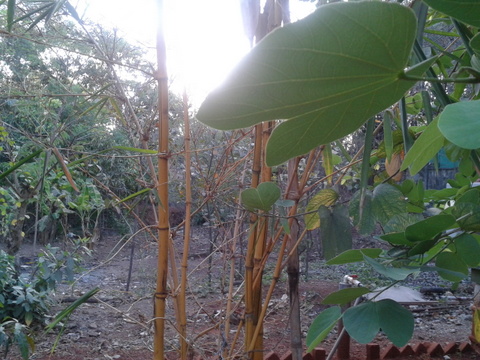 2012-05-19 18.29.33.jpg