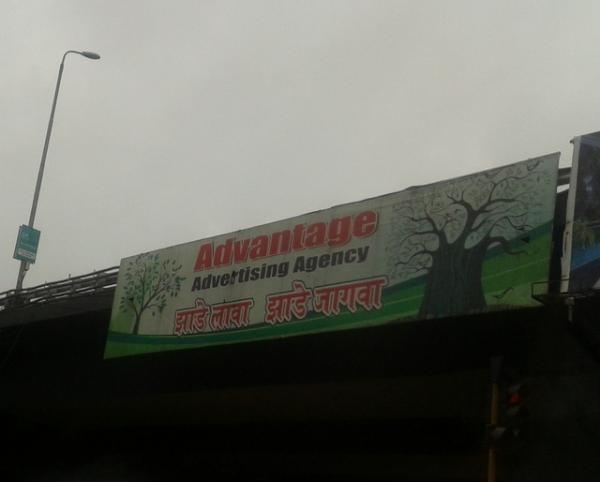 2012-08-013.jpg