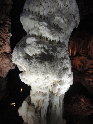Pastonia Caves Slovenia39.JPG