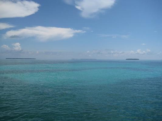 The_Atlantic___Gulf_of_Mexico__Key_west.jpg