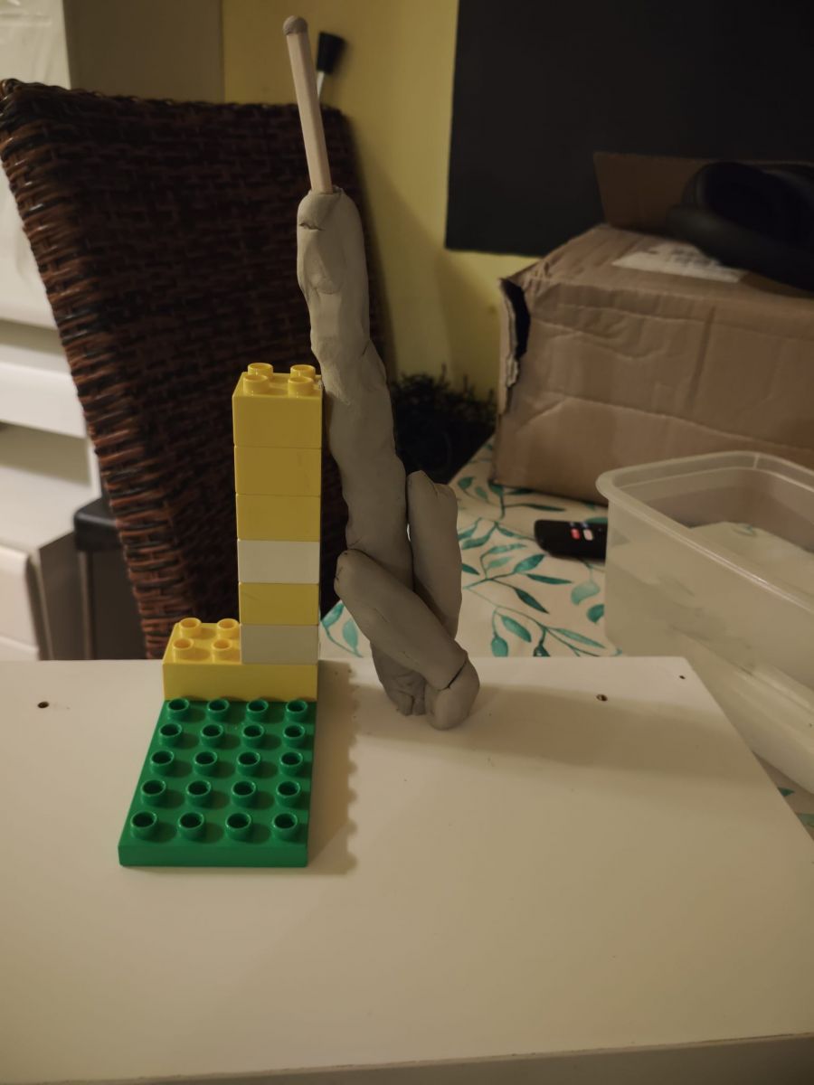 7.jpeg