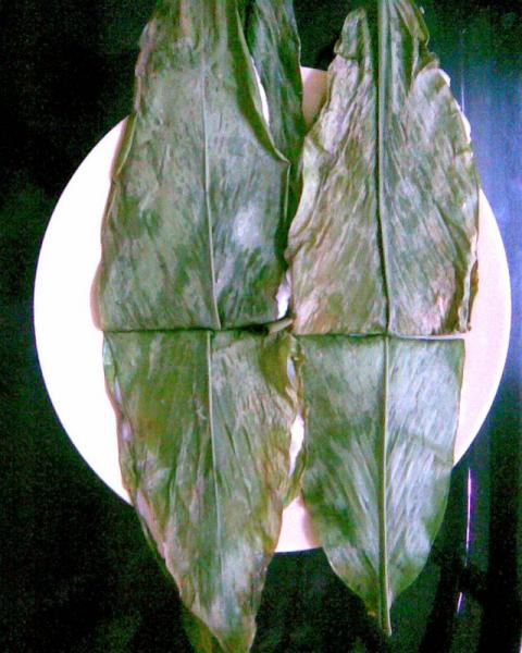 Haladichya Panatil Patoli.jpg