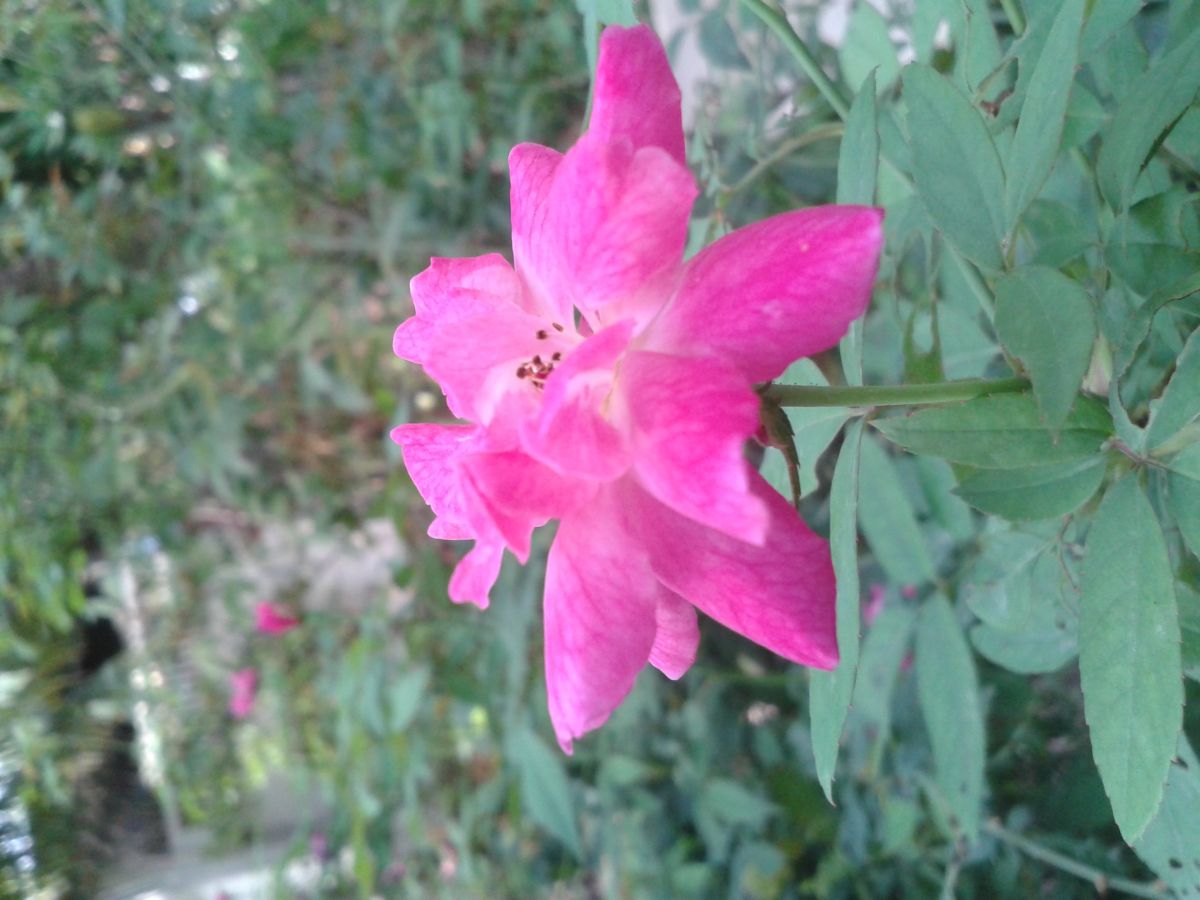 20150702_075650.jpg