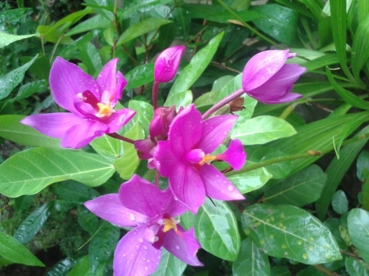 20150716_083032.jpg