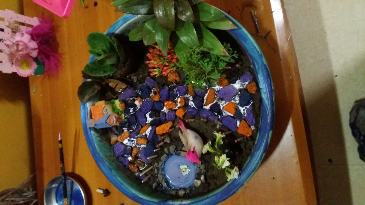 garden.jpg