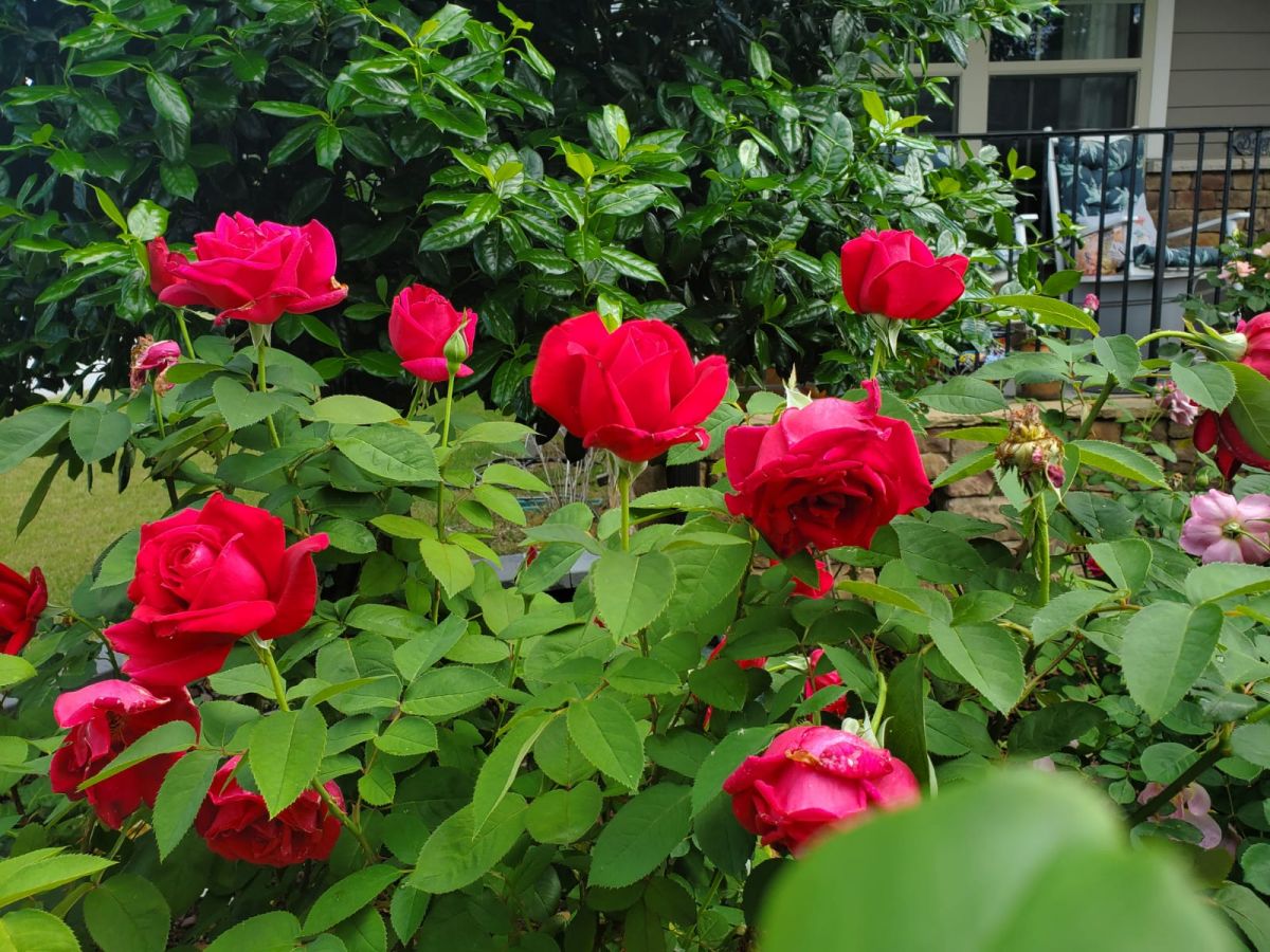 IMG-20250507-WA0000_0.jpg