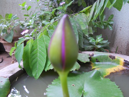 DSCN0937.JPG