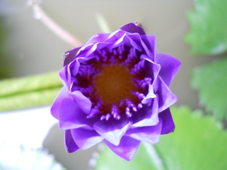 DSCN0939.JPG