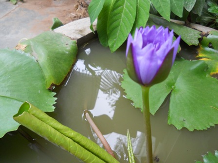 DSCN0940.JPG