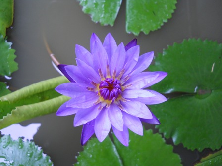 DSCN0942.JPG