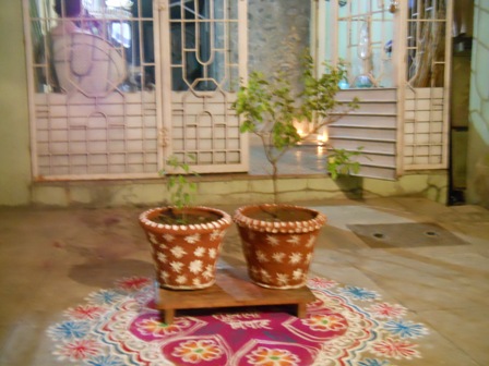 DSCN1132.JPG