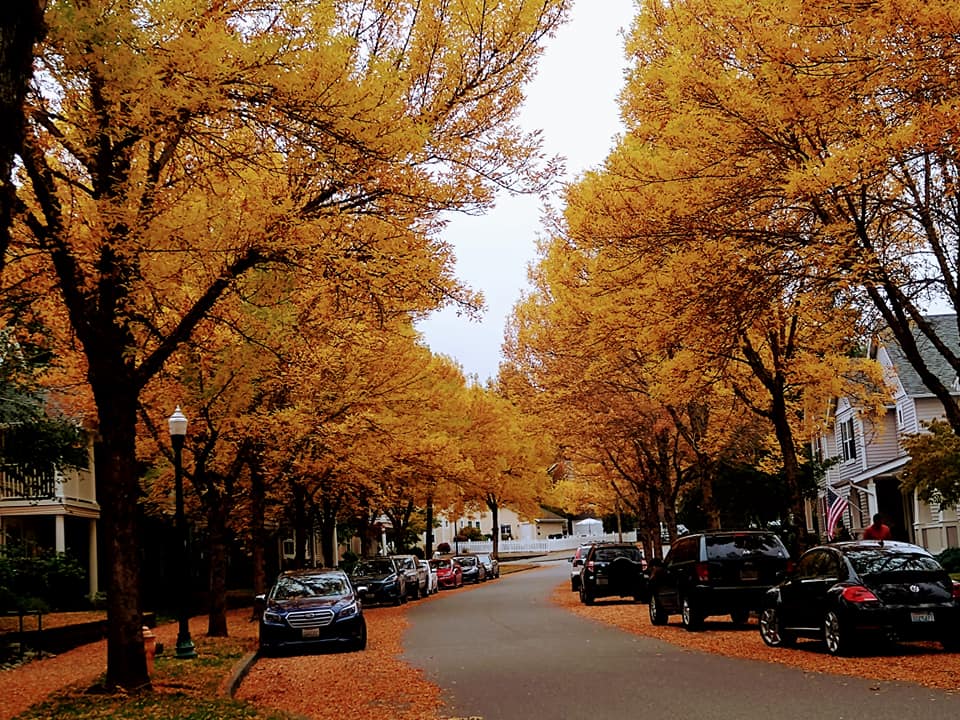 Seattle_Fall.jpg