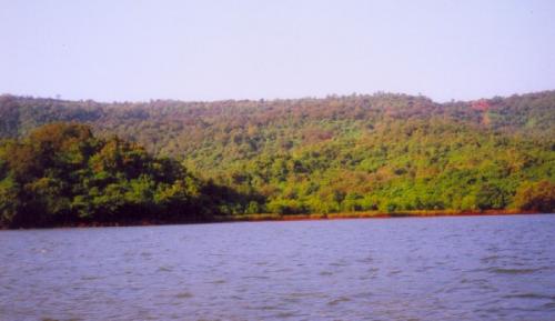 06-bhatagavacha-hiravakanch.jpg