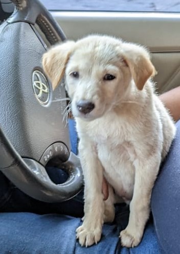 WhatsApp Image 2023-01-17 at 5.24.42 PM.jpeg