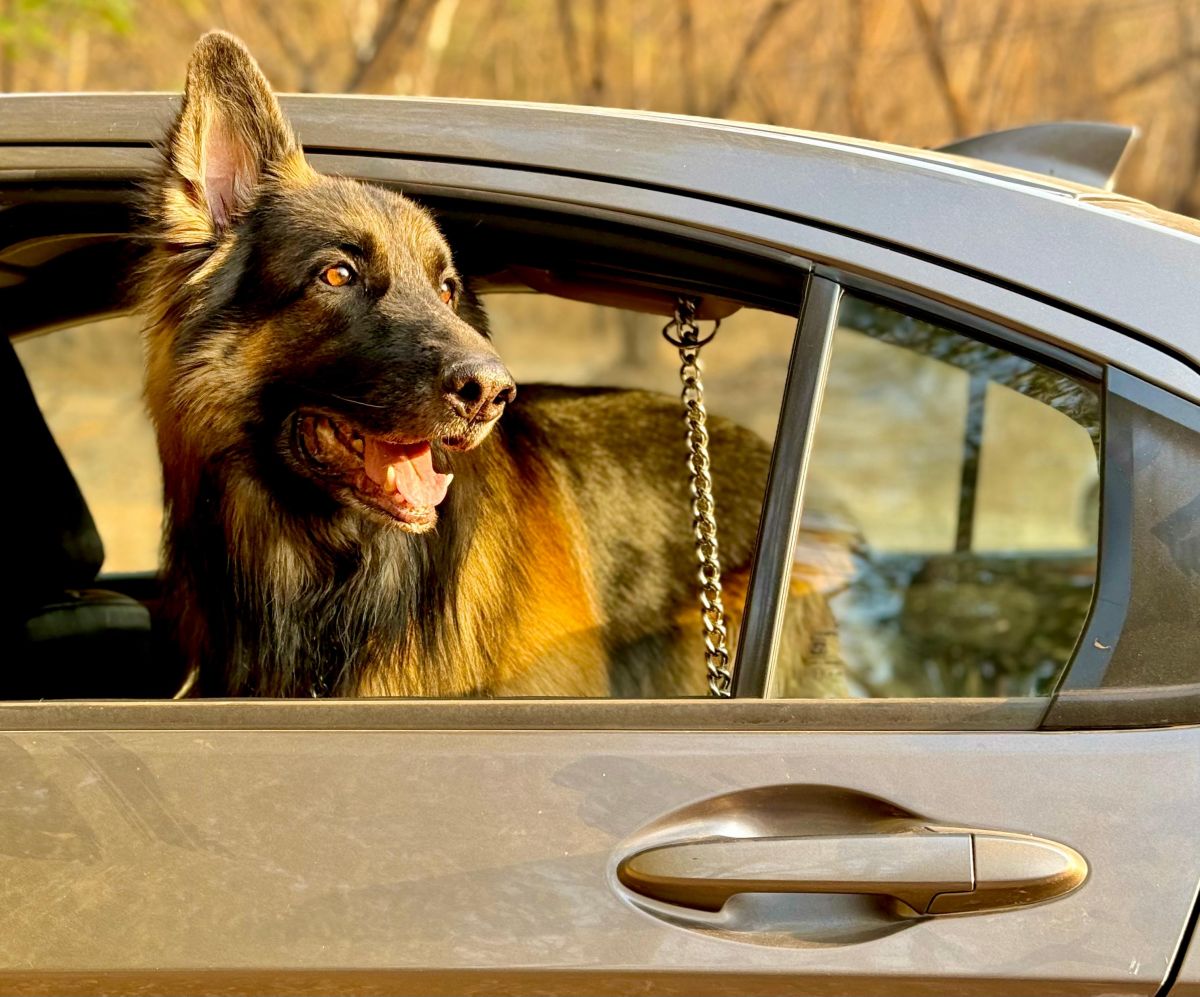 WhatsApp Image 2025-03-24 at 8.00.53 AM.jpeg