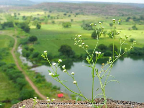 23Dhule_Forts_DiscoverSahyadri.jpg