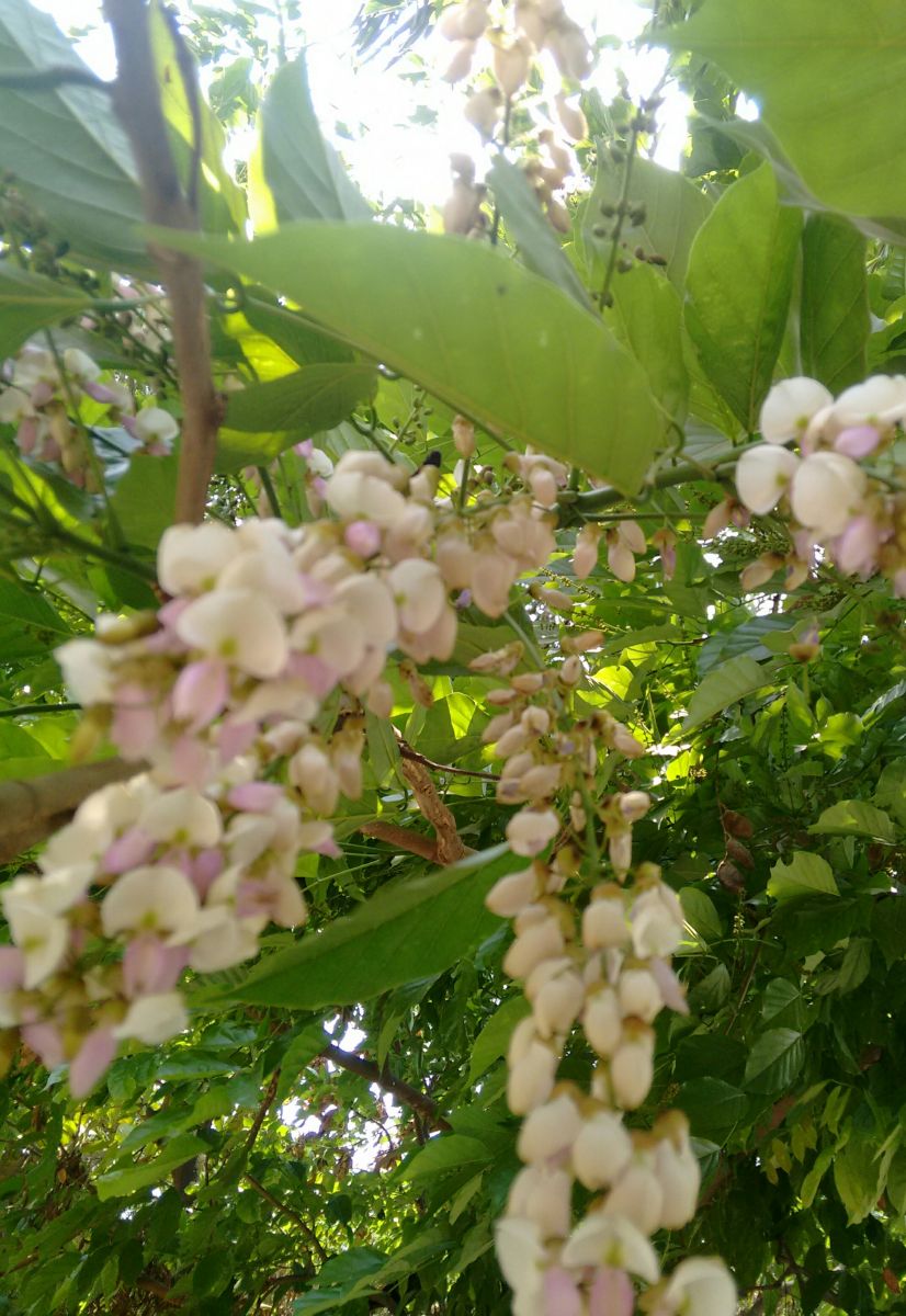 IMG_20190416_173336.jpg