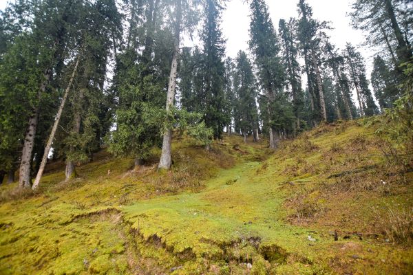 20250409-DSC_8148 (2)_0.jpg