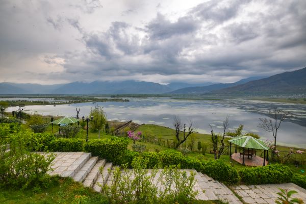 20250410-DSC_8339.jpg