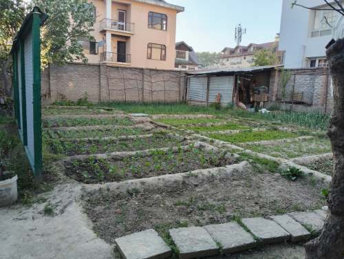 WhatsApp Image 2025-08-14 at 7.21.30 PM.jpg