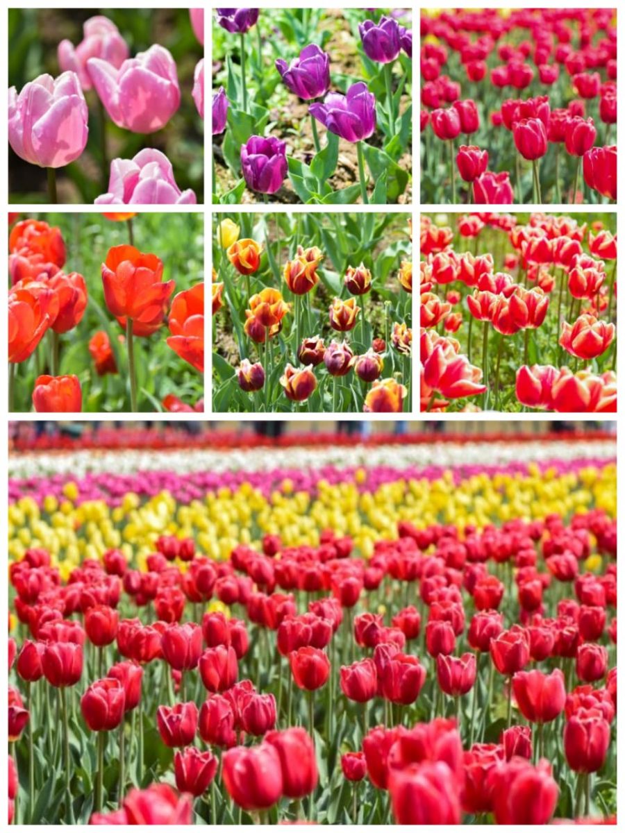 WhatsApp Image 2025-09-04 at 4.20.15 PM.jpeg