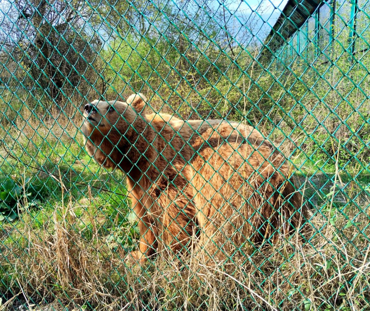 WhatsApp Image 2025-09-04 at 4.57.04 PM.jpeg