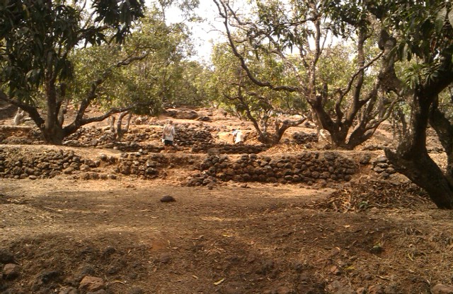 IMAG0114.jpg