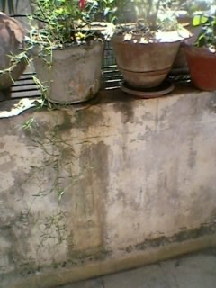 Photo0256_0.jpg