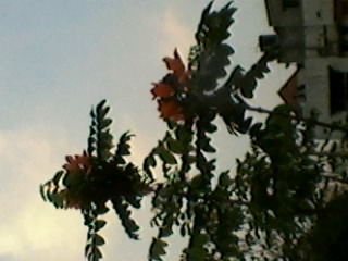 Photo3122_1.jpg
