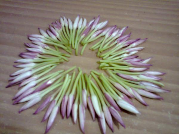 chameli.jpg