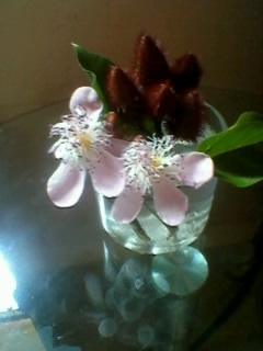 flower.JPG